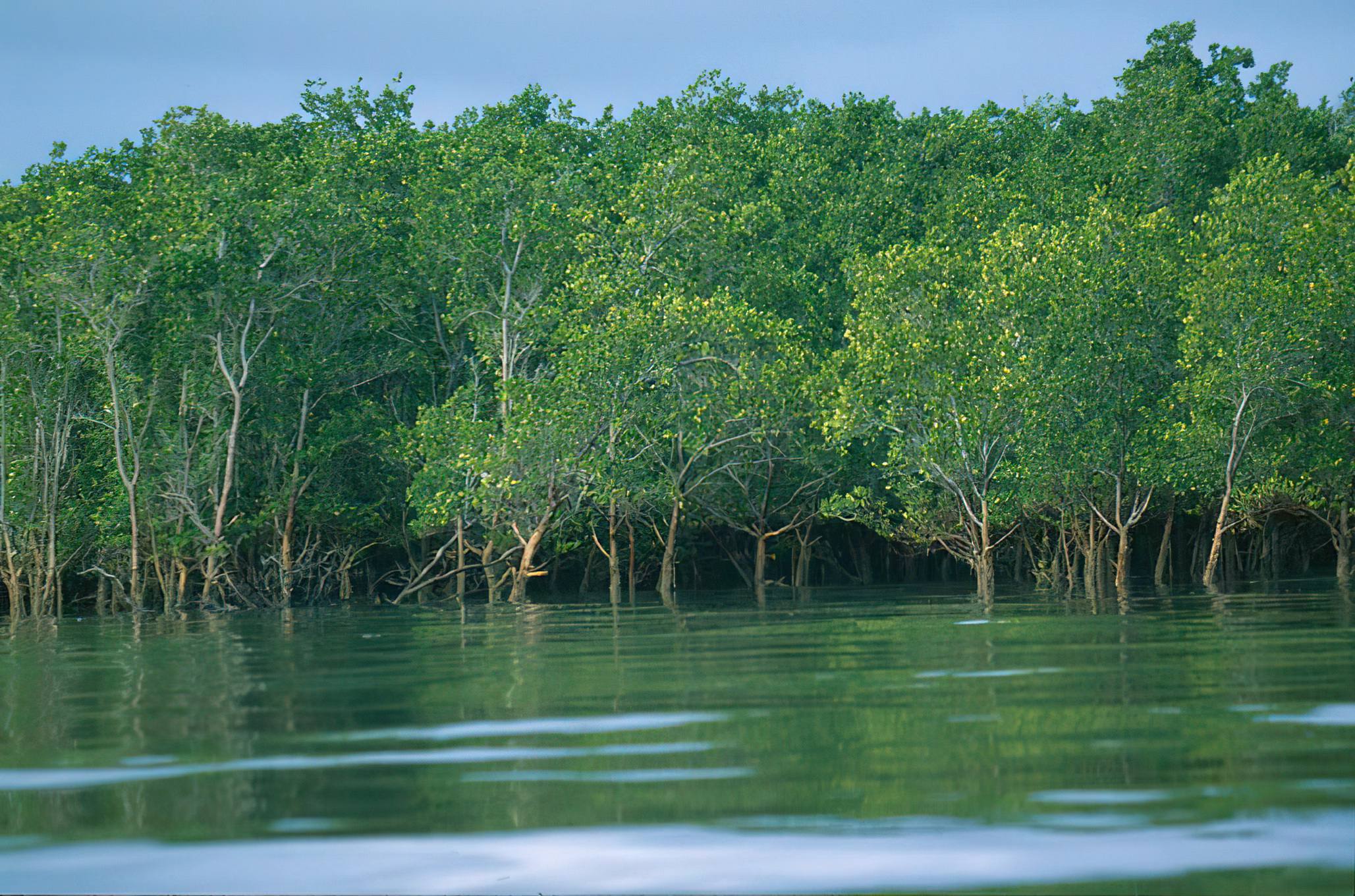 Saadani_National_Park