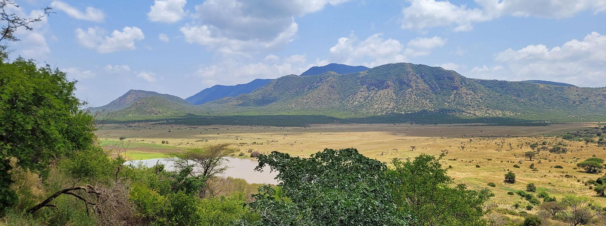 mkomazi-national-park-tanzania